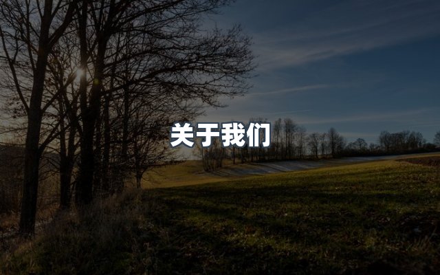 团队合作